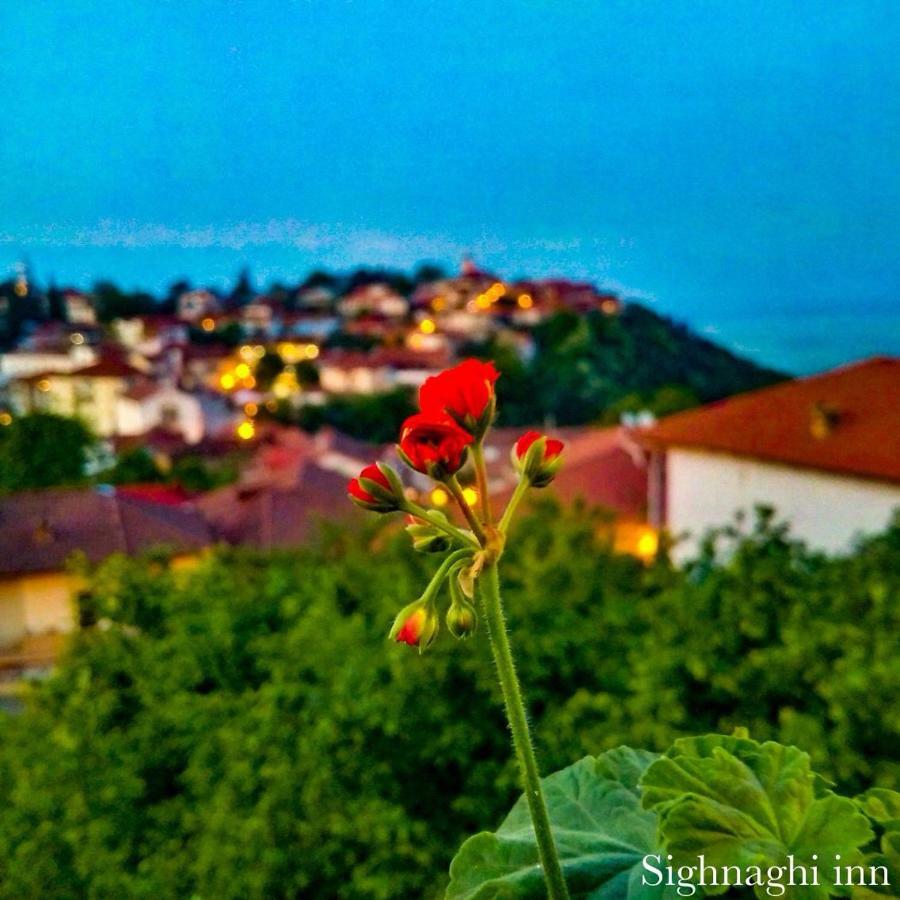 Гостевой дом Sighnaghi Inn Экстерьер фото
