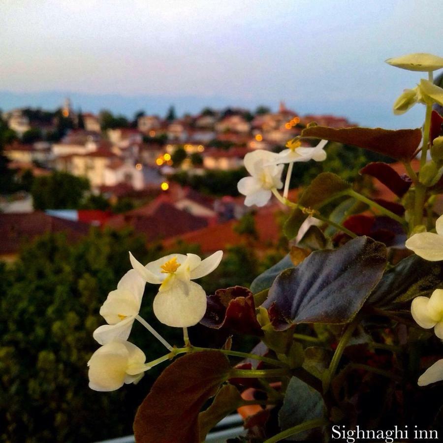 Гостевой дом Sighnaghi Inn Экстерьер фото